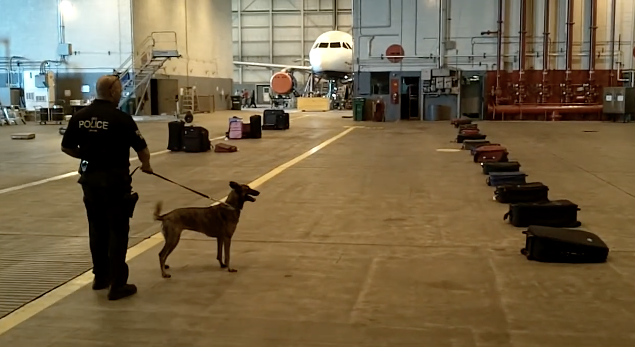 K9 detection training with handler and specialized equipment